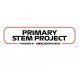 Primary STEM Project